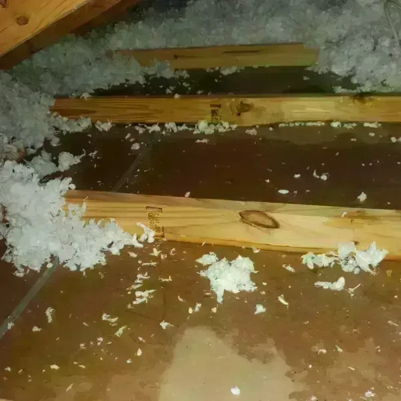 Attic Water Damage in West Springfield, MA